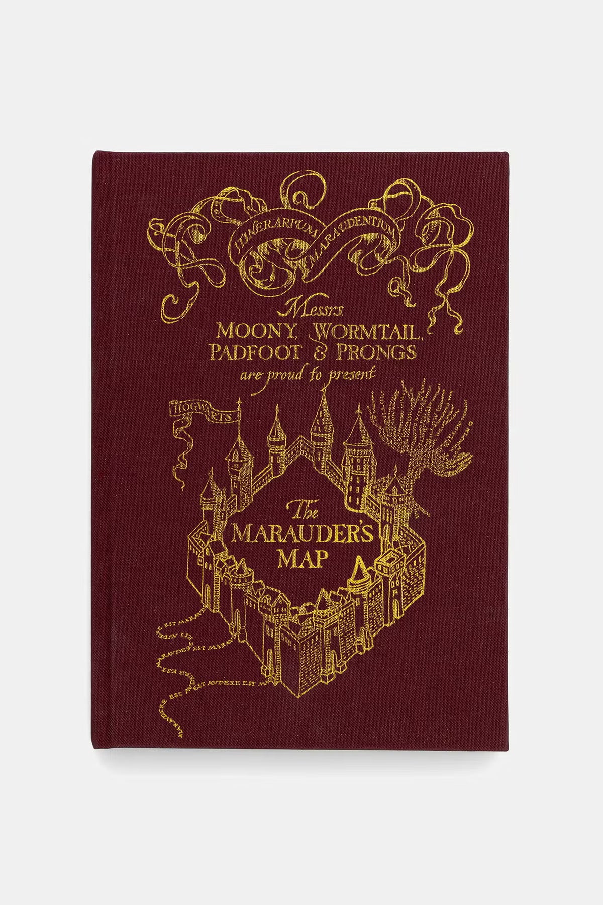 Notitieboek Harry Potter Zweinstein
