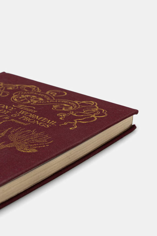 Notitieboek Harry Potter Zweinstein