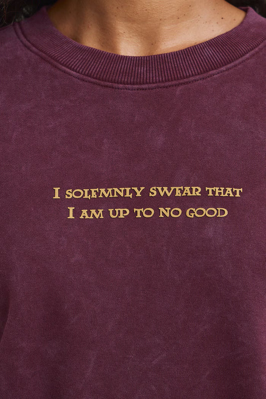 Harry Potter katoenen sweatshirt