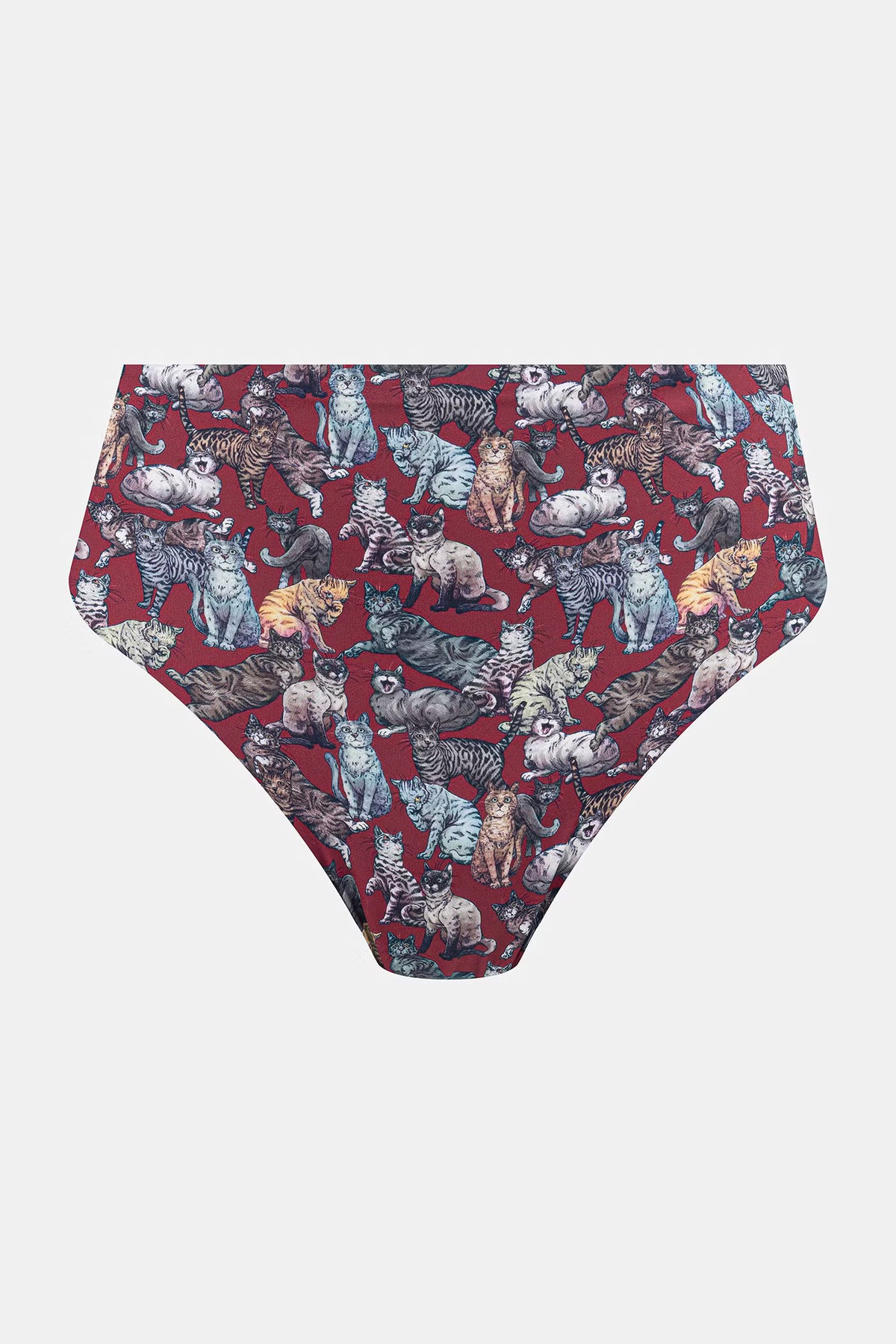 Dames high waist slips 3-pack met kattenprint
