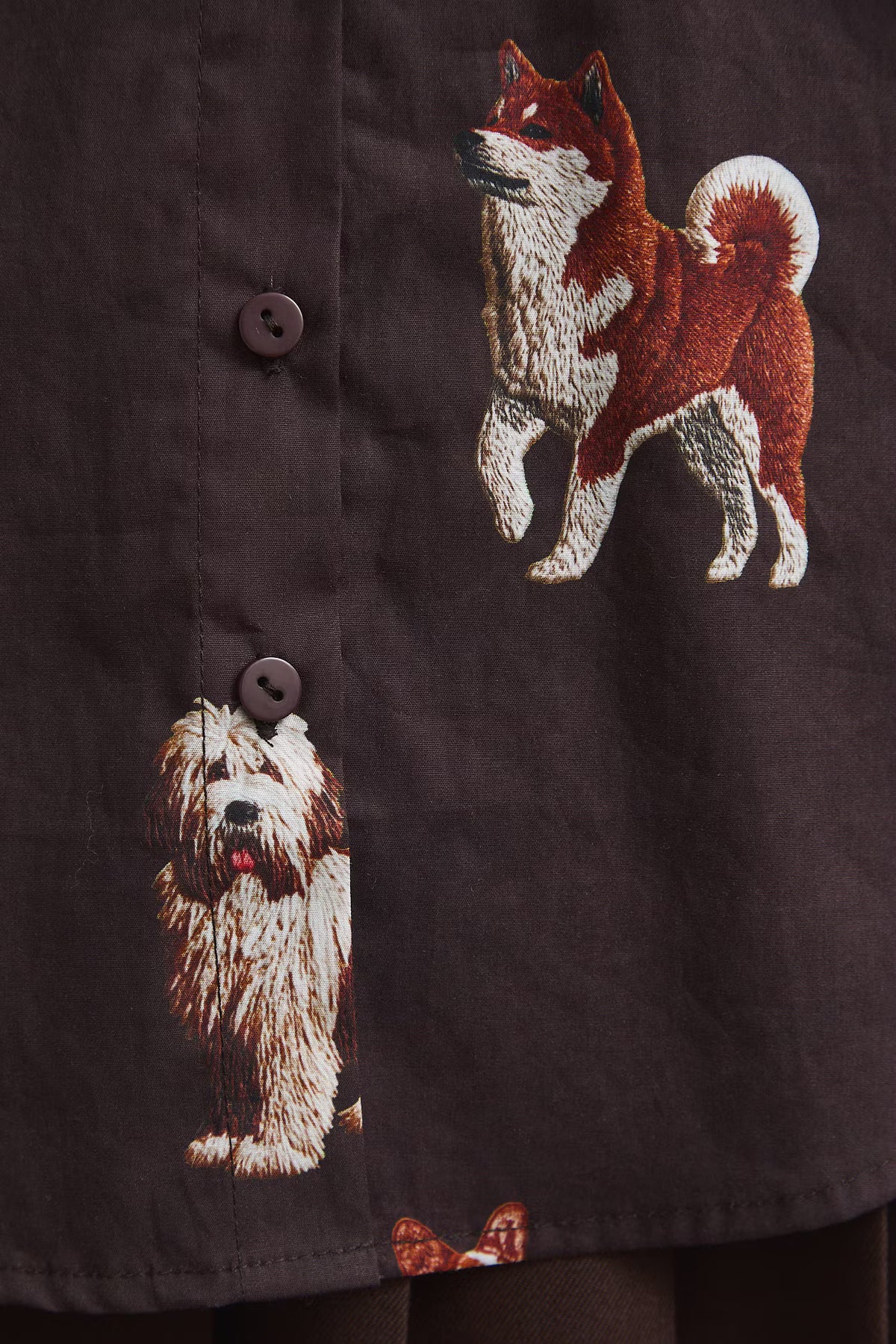 Dames blouse met hondenprint