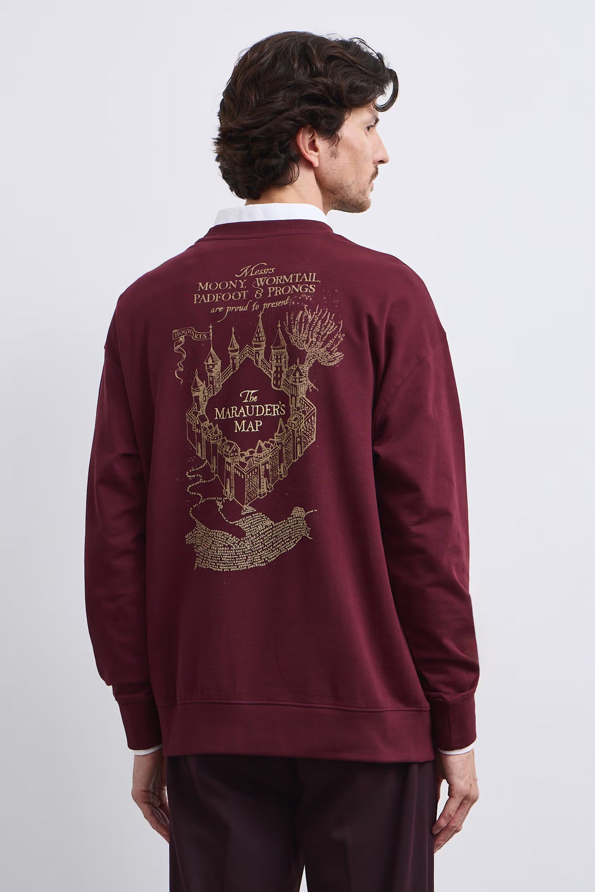 Harry Potter heren longsleeve
