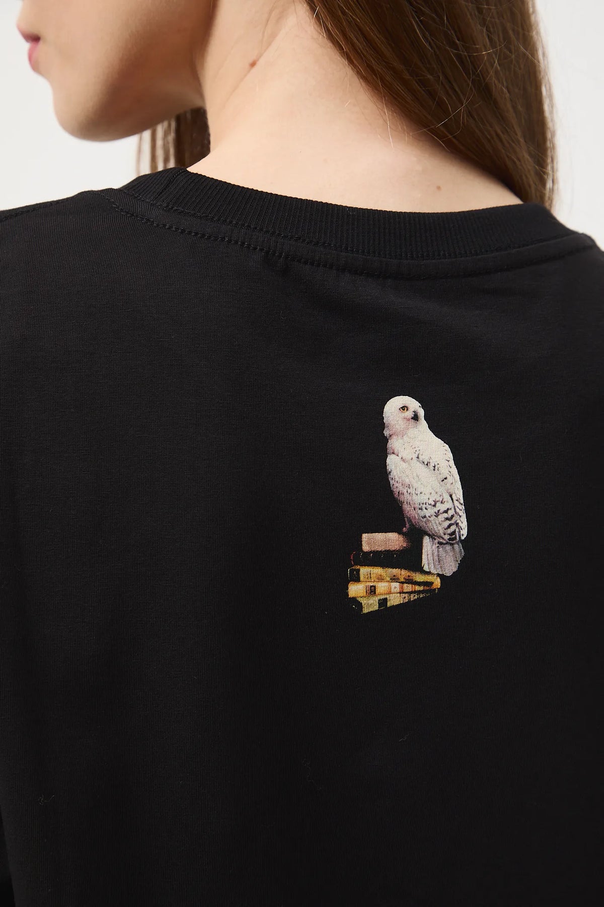 T-shirt - Harry Potter