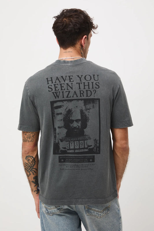 T-shirt - Harry Potter