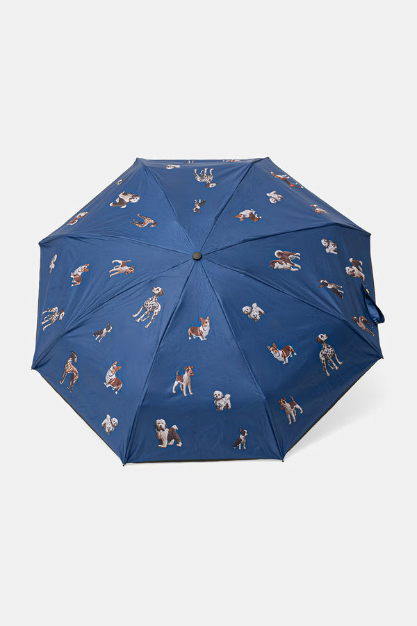Hondencollectie