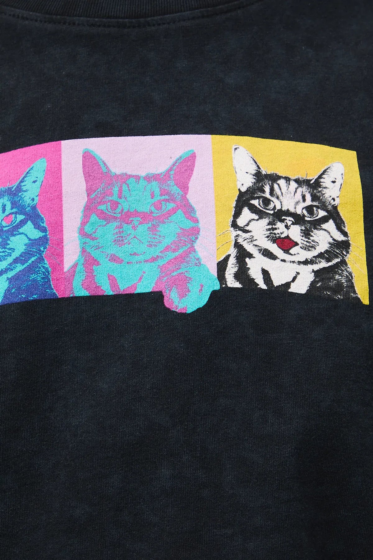 T-shirt met kattenprint